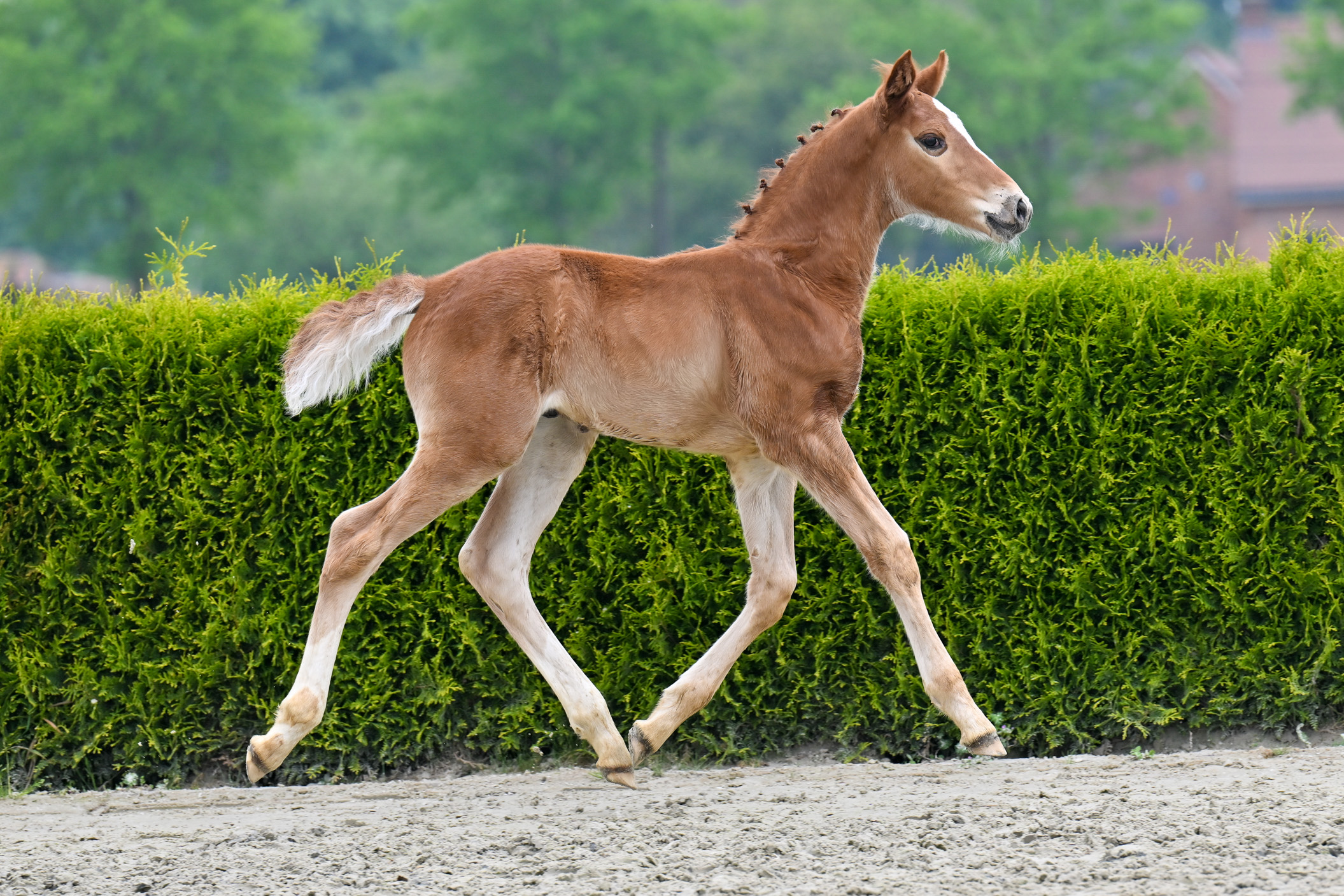 Exel de l'Esprit