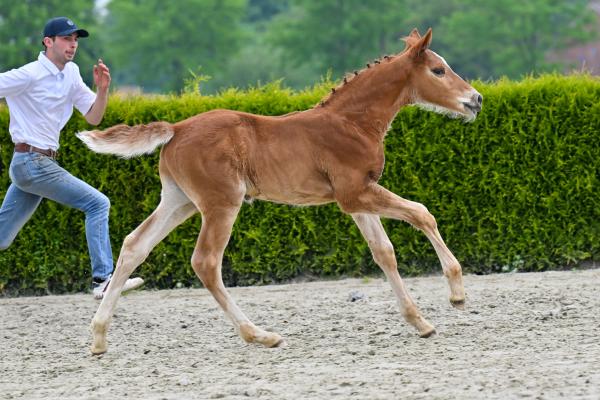 Exel de l'Esprit